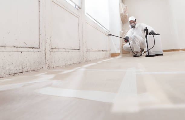 24/7 Emergency Mold Remediation experts in Denville, NJ